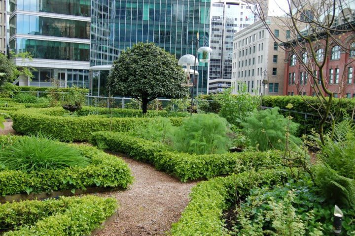 Hay un jardín donde se cultivan hierbas y vegetales en The Fairmont Waterfront