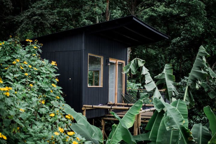 The cabins are surrounded by nature