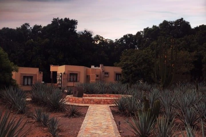 Hotel in an agave hacienda