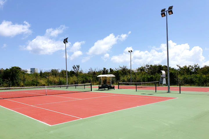 Tennis court