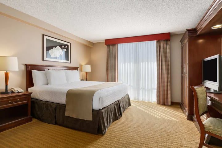 Suite del hotel Embassy Suites San Francisco Airport - South San Francisco