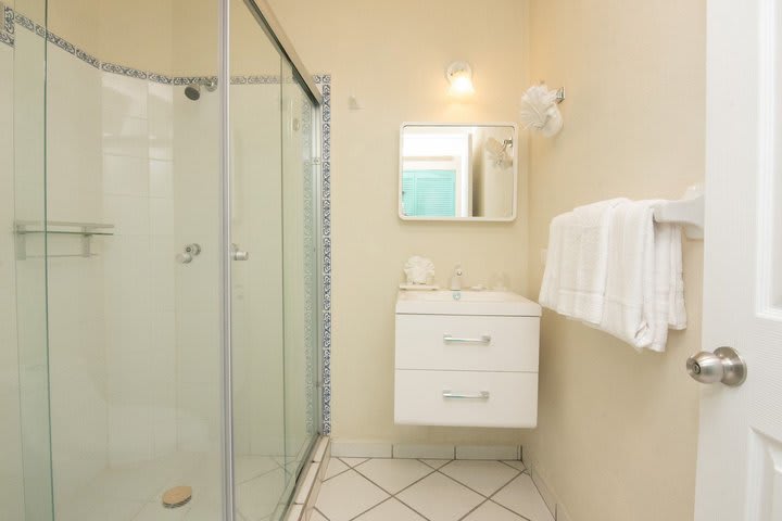 Private guest bathroom with shower