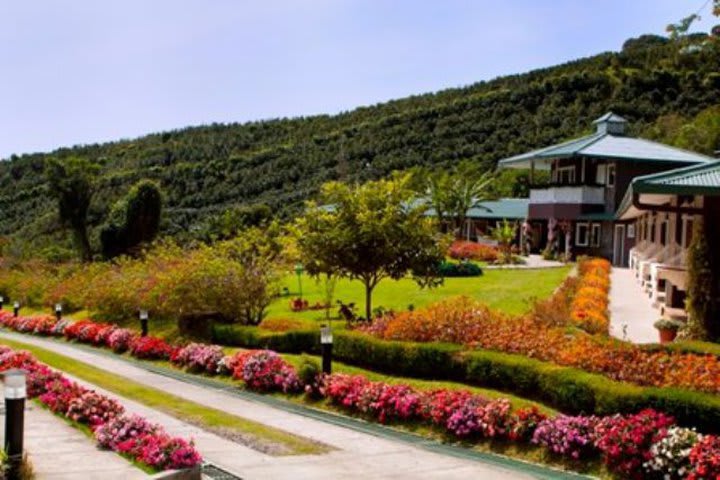 Gardens at the hotel