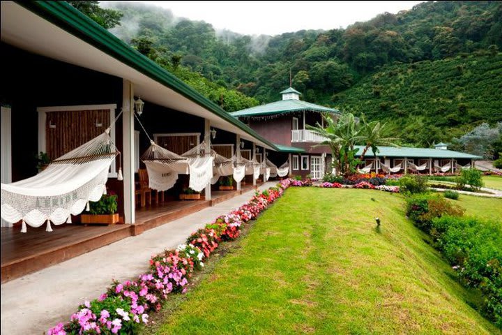 Courtyard with hammocks