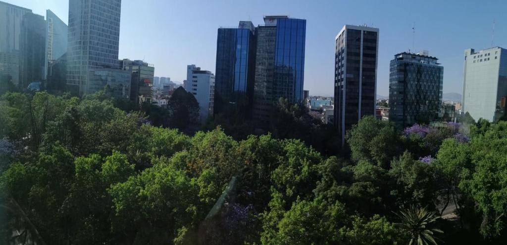 Habitación Doble con cama grande con vistas a la ciudad