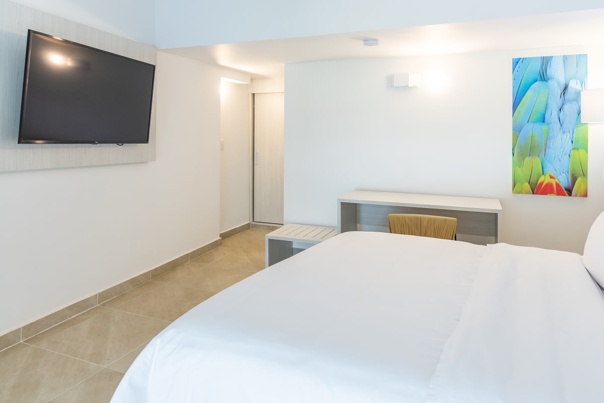 Img - Suite