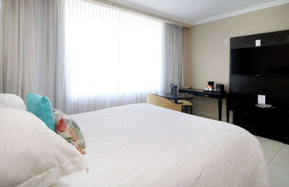 Img - Room, 1 King Bed, Non Smoking