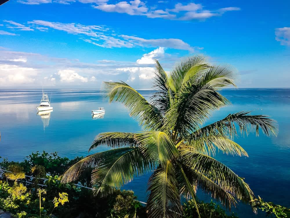 PriceTravel - Travel easy, without excuses