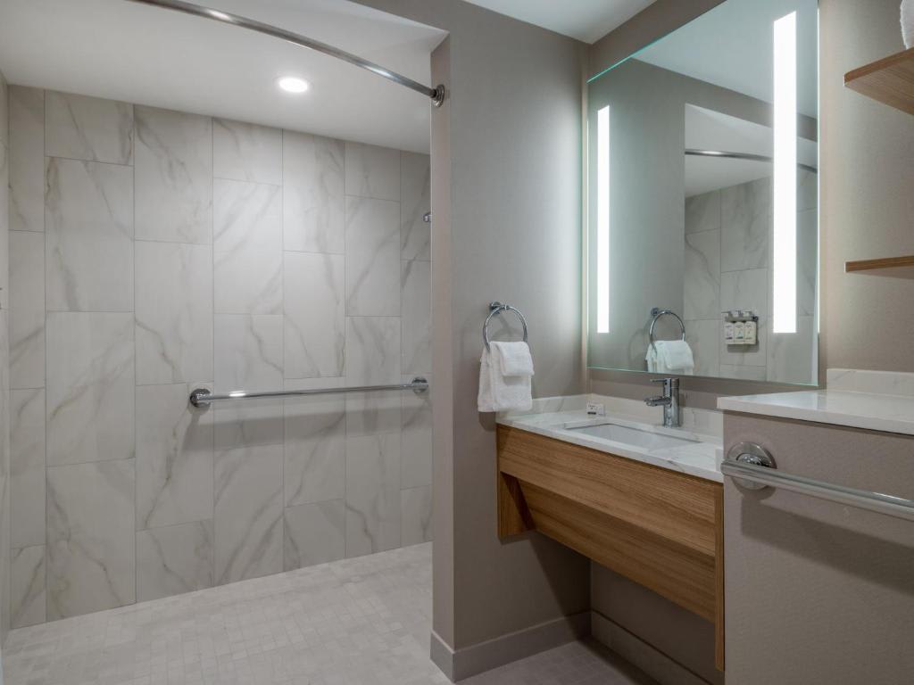 King Studio Suite with Roll-In Shower and View