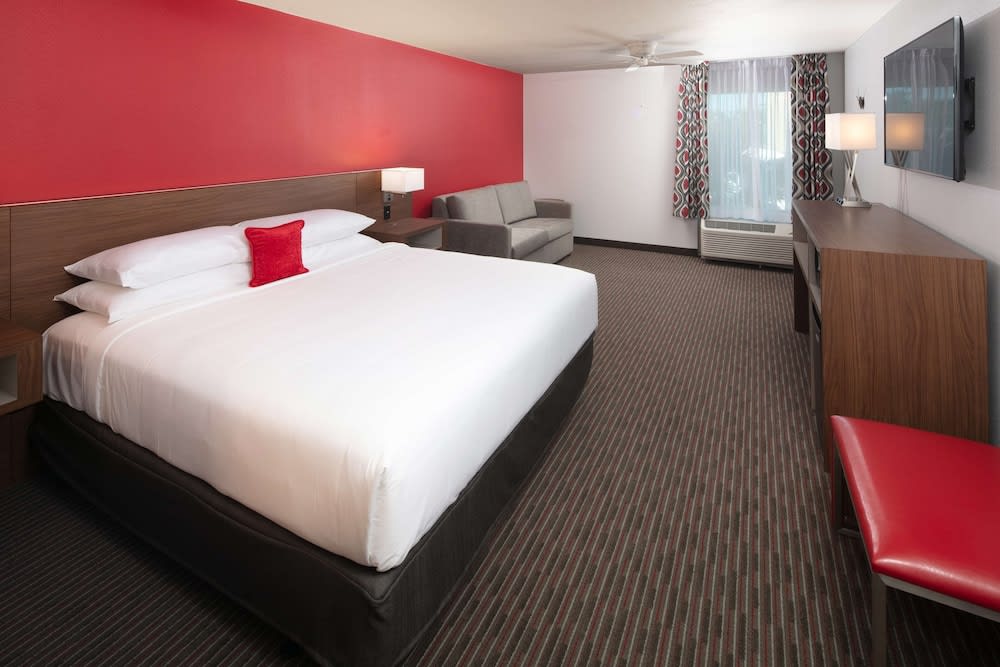 Img - Standard Room, 1 King Bed with Sofa bed