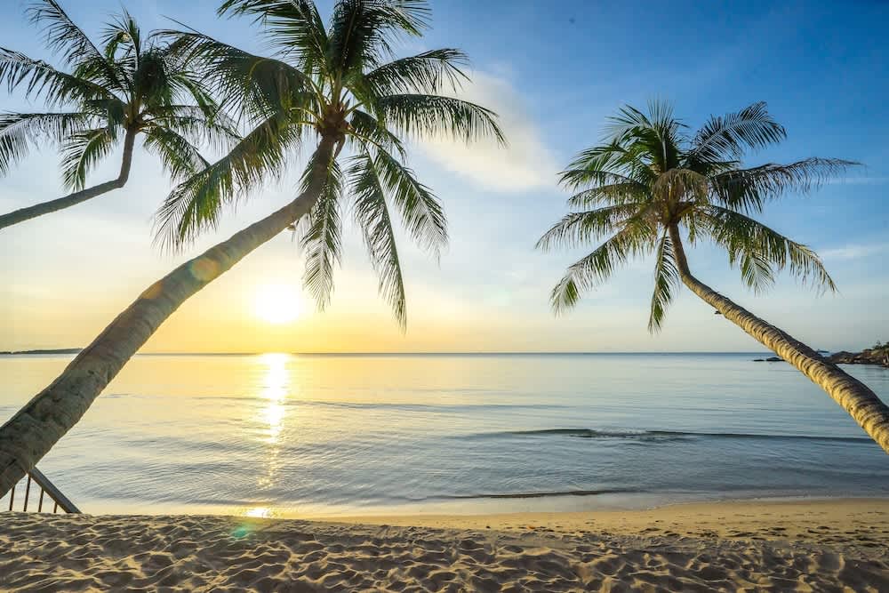 PriceTravel - Viaja fácil, sin pretextos