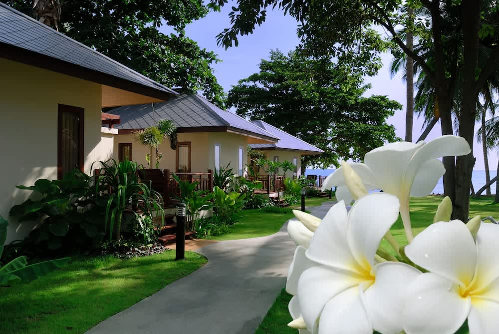 Tiquetes Baratos - Travel easy, without excuses