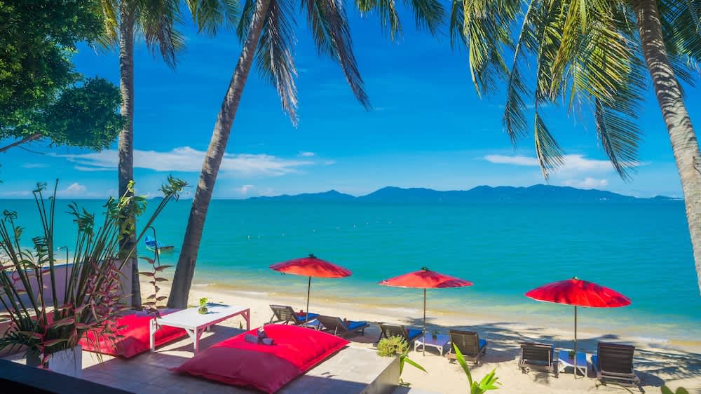 PriceTravel - Travel easy, without excuses