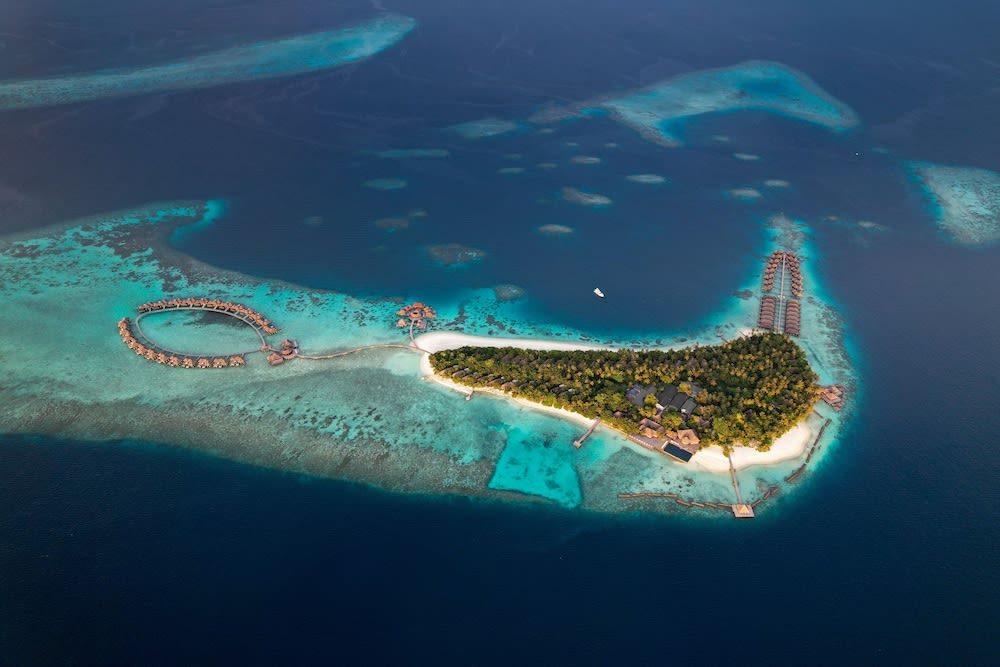 Coco Bodu Hithi