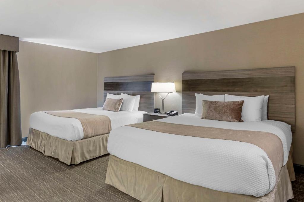 Suite Deluxe con cama grande - No fumadores