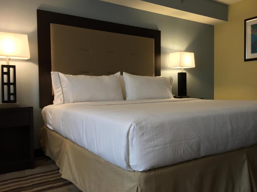 Holiday Inn Express Chicago NW - Arlington Heights, an IHG Hotel