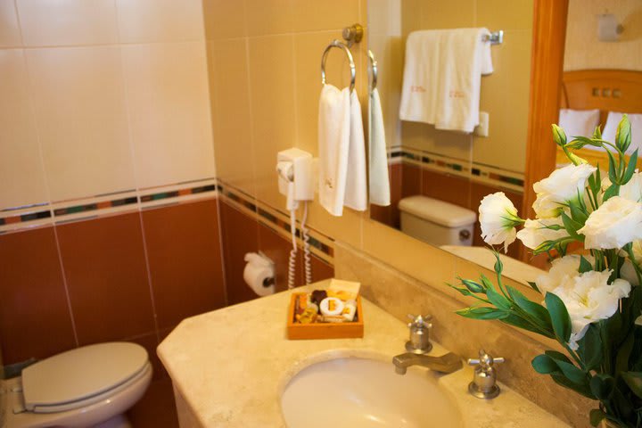 Baño privado con ducha dentro de una habitación