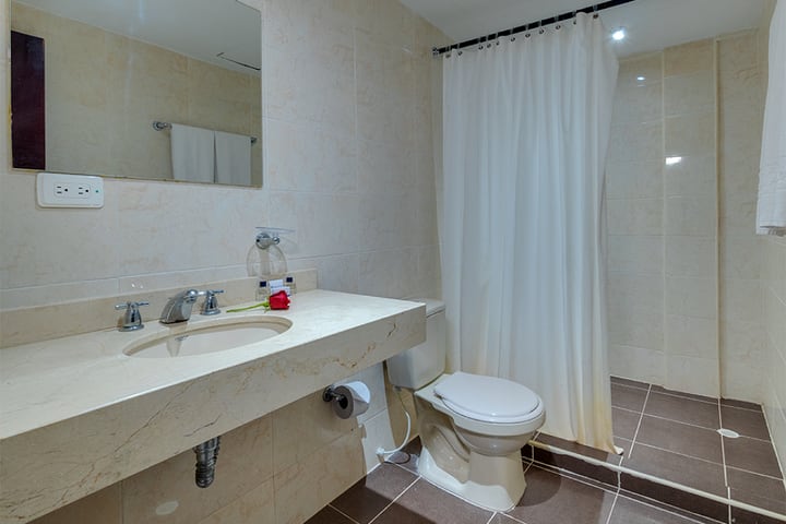 Private guest bathroom with shower