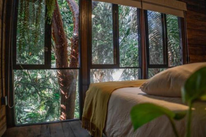 Habitación Treehouse