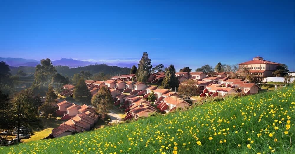 PriceTravel - Viaja fácil, sin pretextos