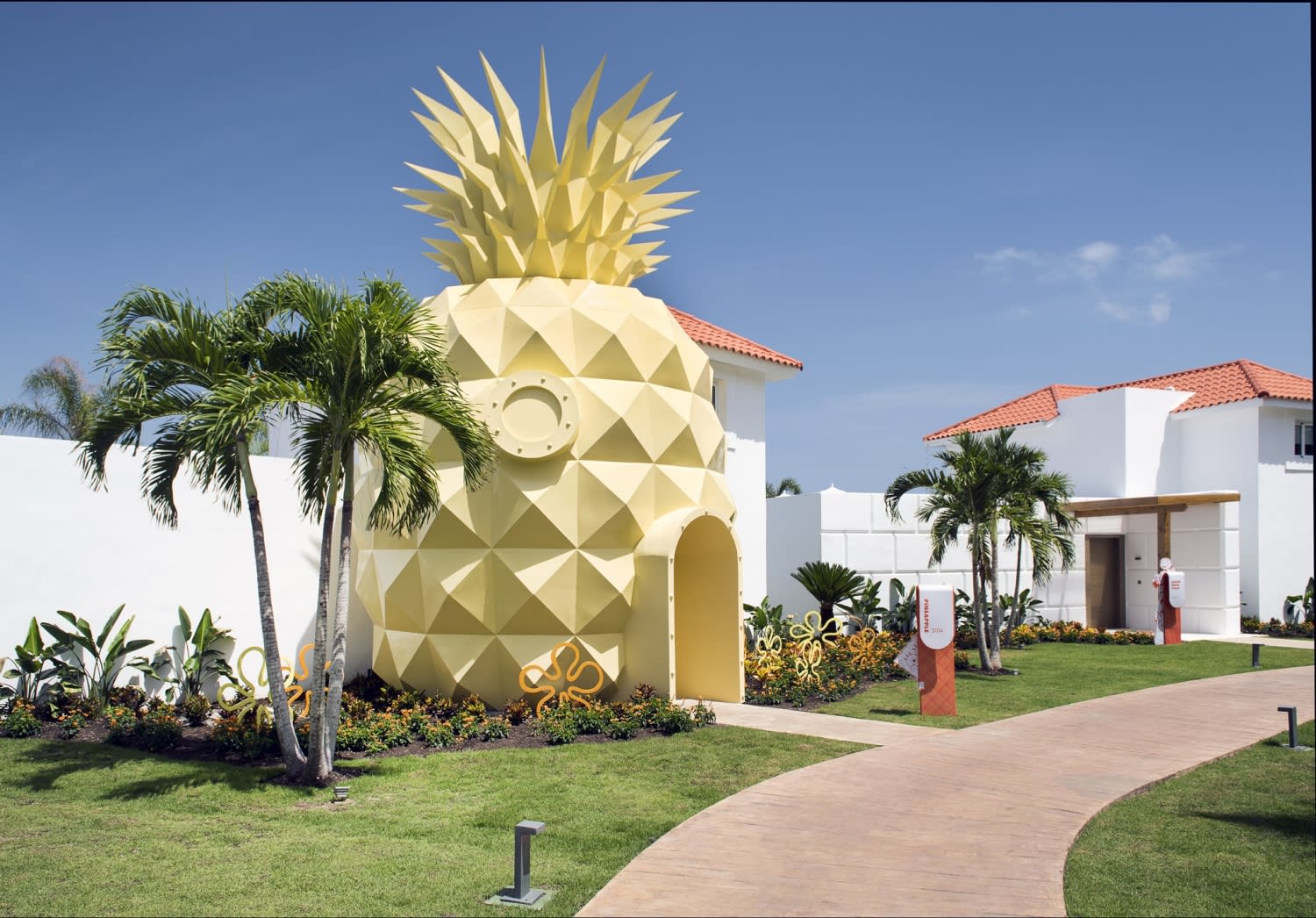 Img - THE PINEAPPLE