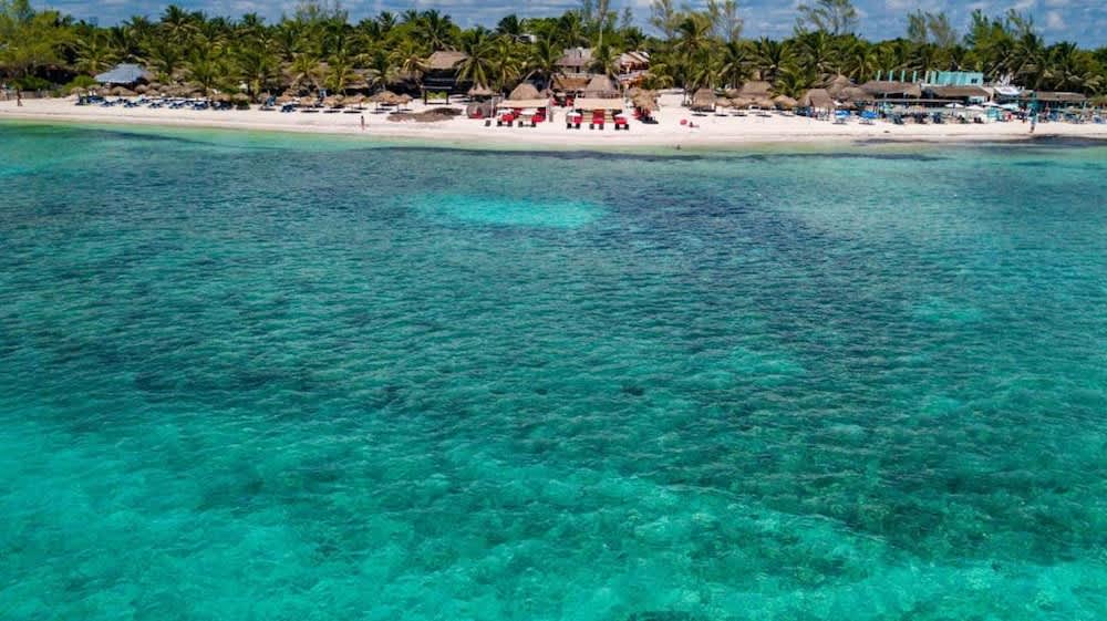 PriceTravel - Viaja fácil, sin pretextos
