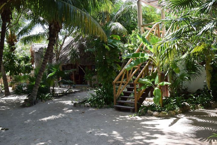 Habitación Estándar Vista al jardín (Vista a la recepción o a la calle).