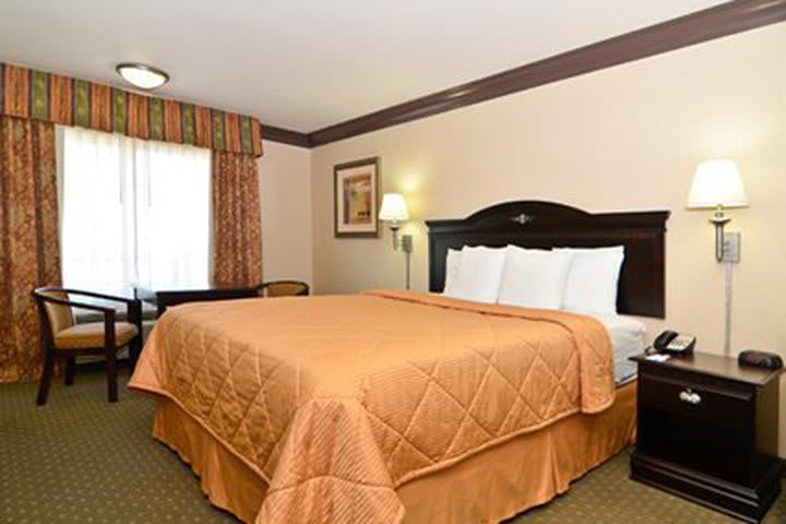 Standard king room at Comfort Inn & Suites, hotel near Universal Studios Hollywood