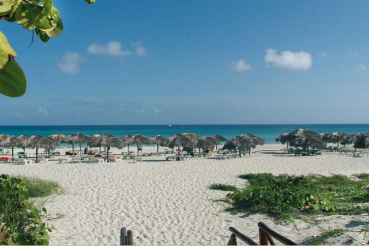 Beach area with palapas