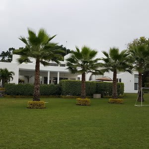 Luxury House Near Cuernavaca