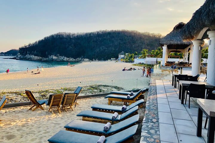 Sun loungers on the beach