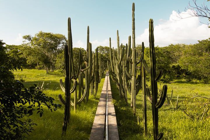 Áreas verdes