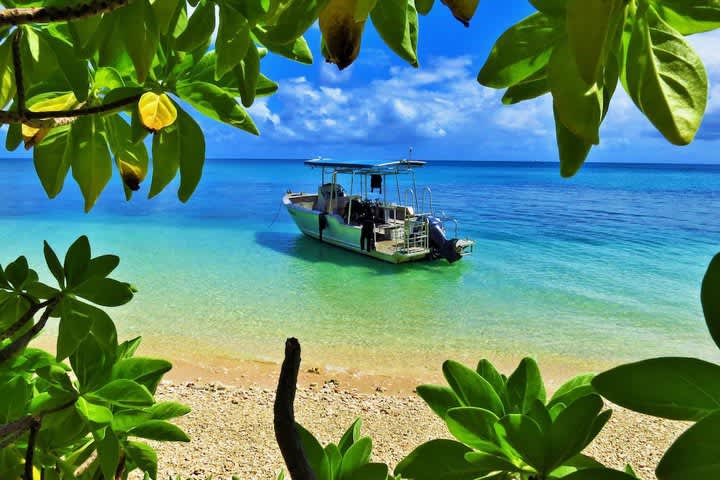 PriceTravel - Viaja fácil, sin pretextos