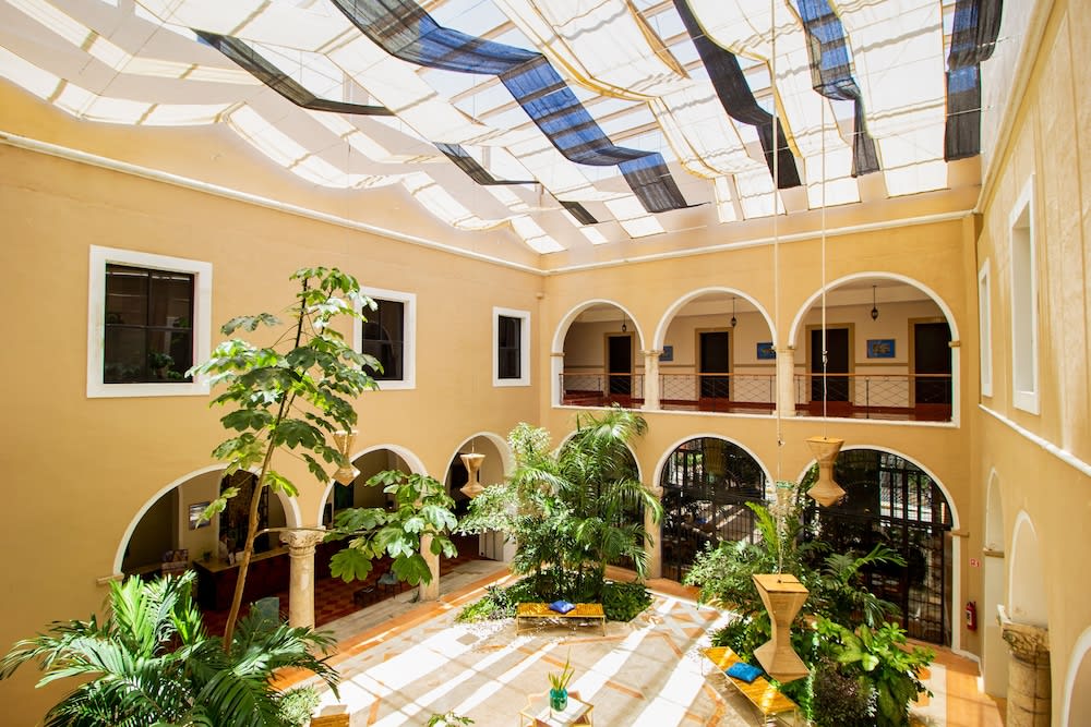 Img - Estándar