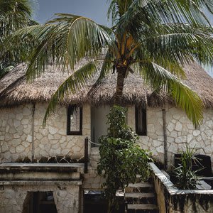 Nest Tulum