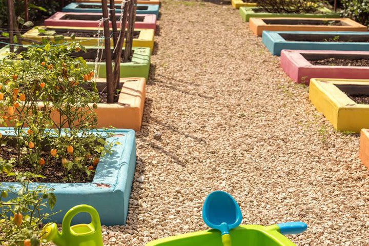 Kids can visit the organic garden