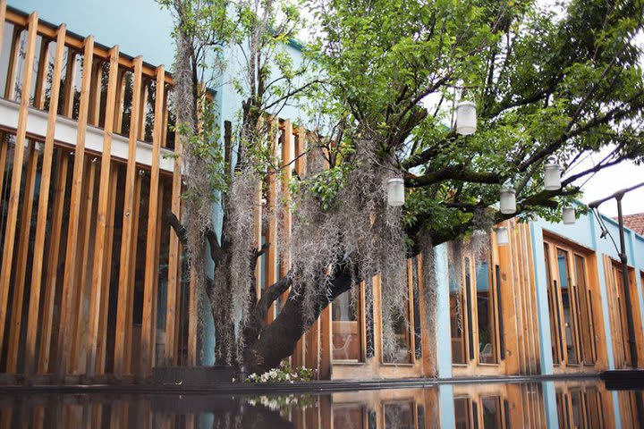 La arquitectura se inspira en los cuatro elementos de la naturaleza