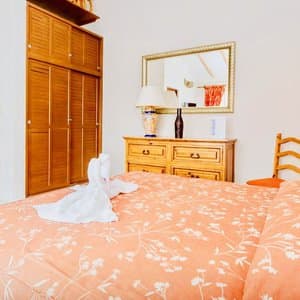 Room in B&B - Executive Comfort Room With Swimming Pool Air Conditioning and Parking