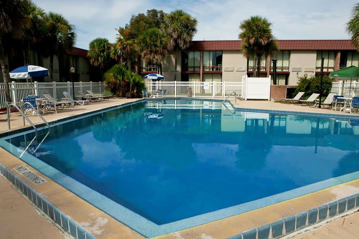 La piscina al aire libre cuenta con camas plegables