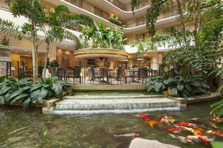 El hotel Embassy Suites en South San Francisco posee un estanque con peces koi