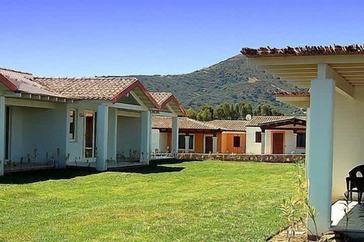 Tiquetes Baratos - Travel easy, without excuses