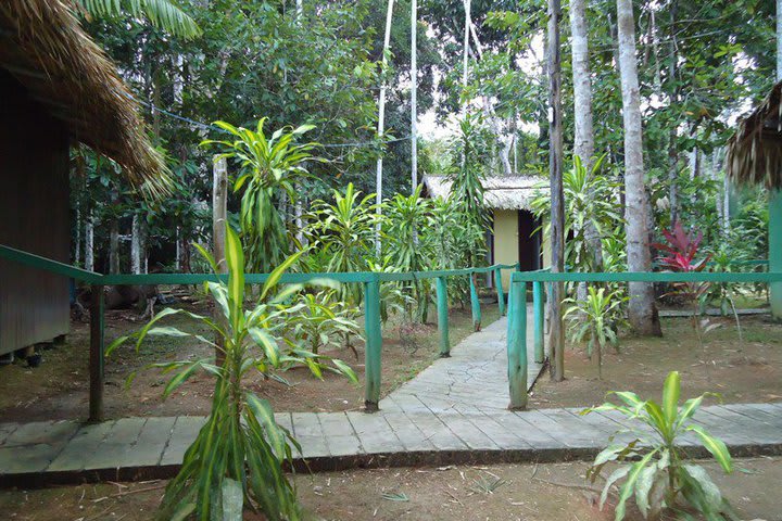 Cabañas en madera en el Dolphin Lodge