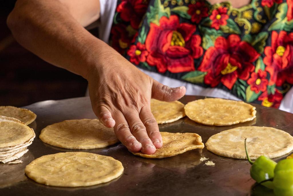 Imagen de la galería de este alojamiento