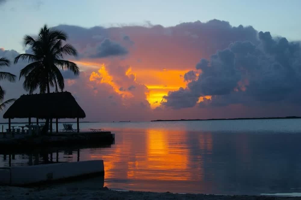 PriceTravel - Viaja fácil, sin pretextos