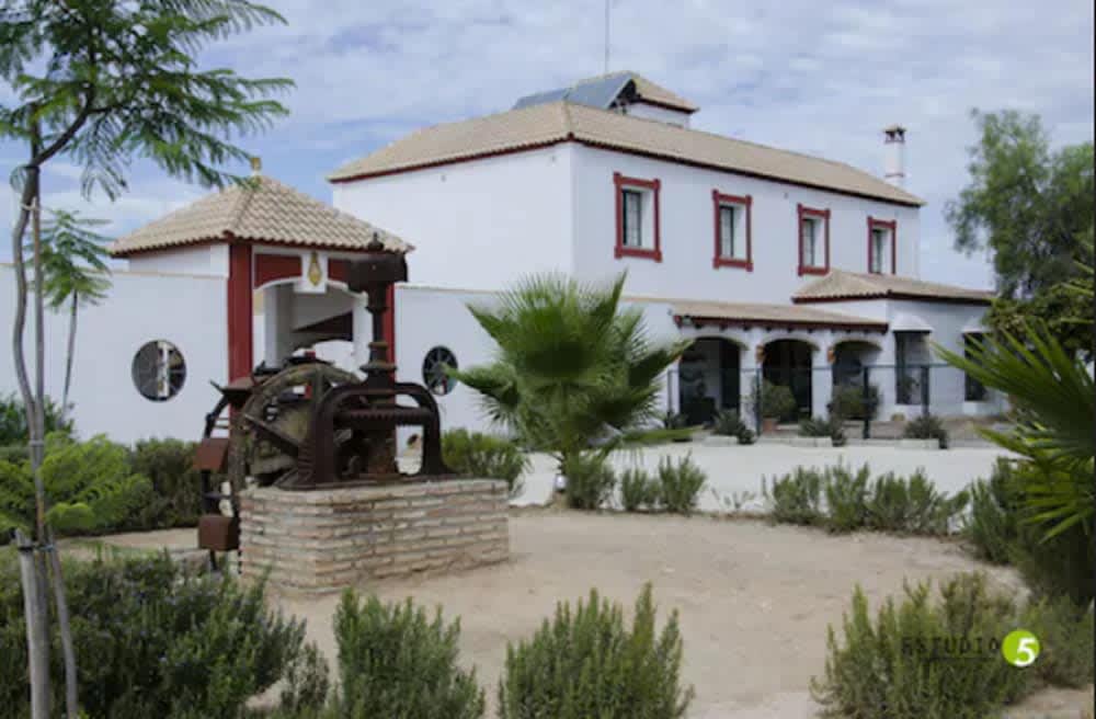 TiquetesBaratos - Viaja fácil, sin pretextos