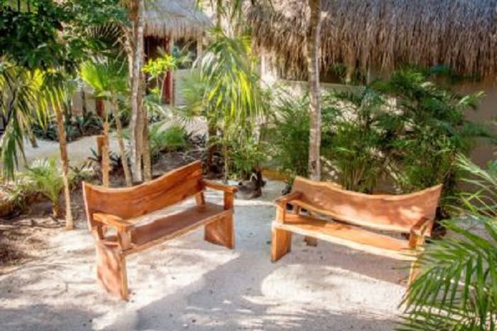 Benches in the garden