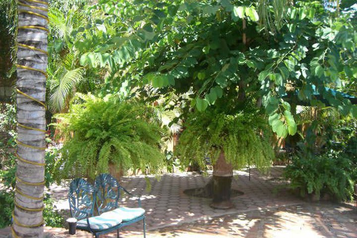 Gardens at Suites La Hacienda in Puerto Escondido