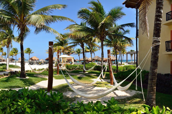 Outdoor area with hammocks