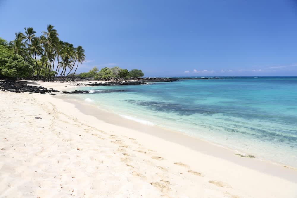 PriceTravel - Viaja fácil, sin pretextos