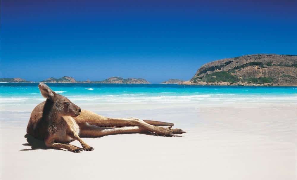 PriceTravel - Travel easy, without excuses